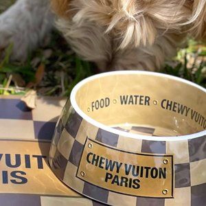 COPY - Chewy Vuitton Dog Bowls and mat Haute Diggi…